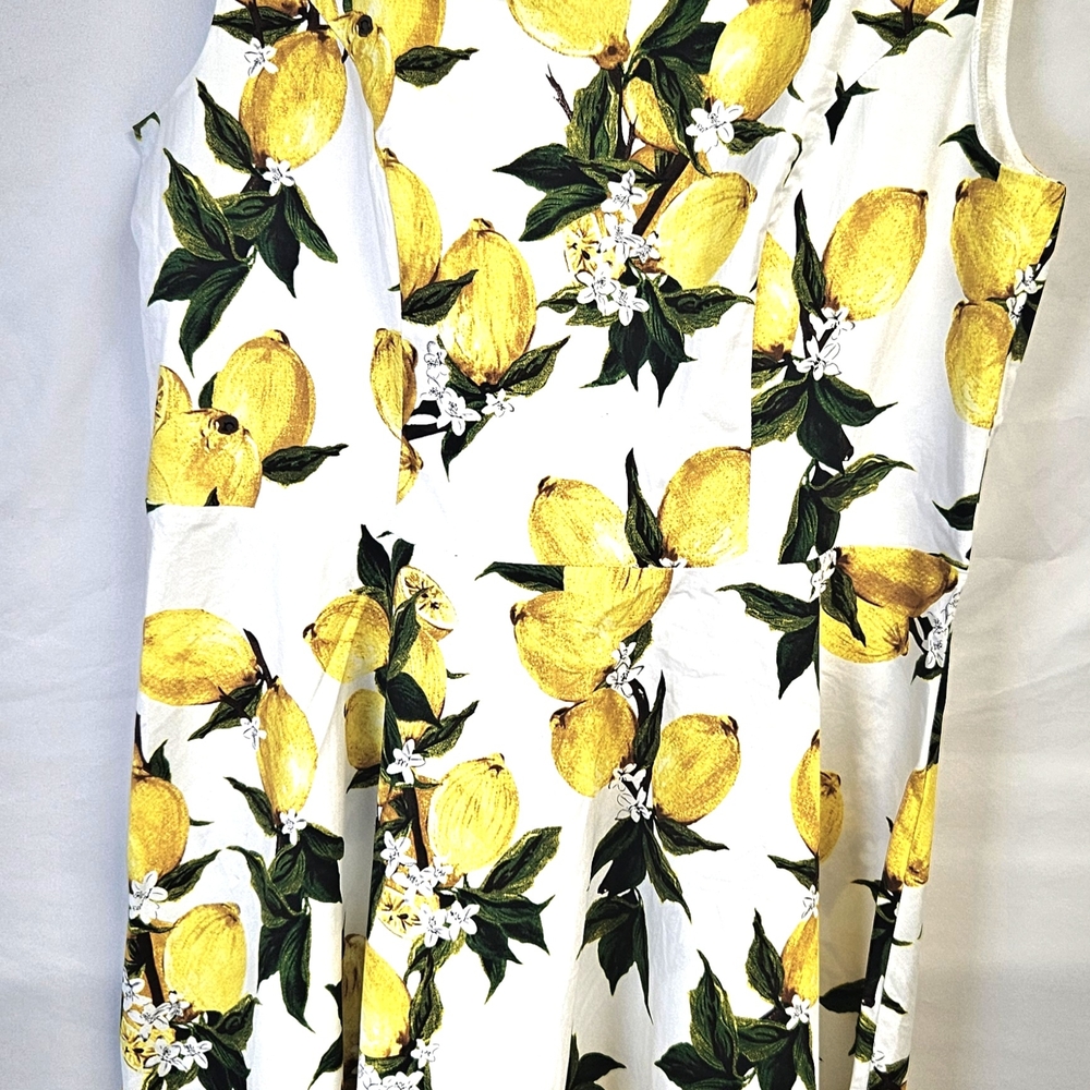 Lemon Print Sleeveless Dress/Never Worn